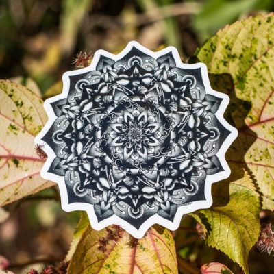 Komodo Koi - Illustrations & Paintings