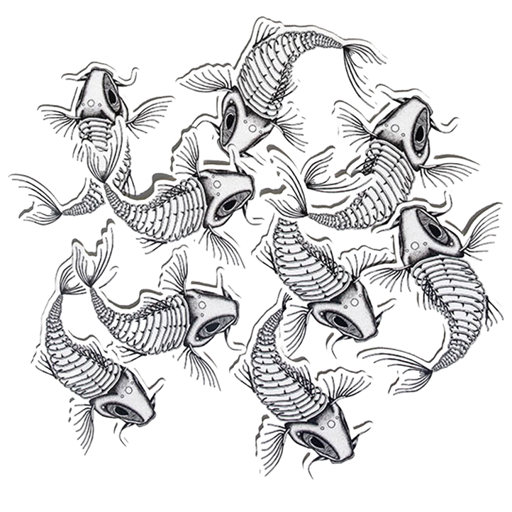 Komodo Koi - Illustrations & Paintings